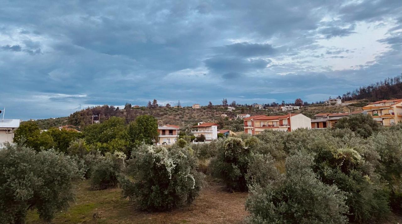 Diana Studios Pefkí Kültér fotó